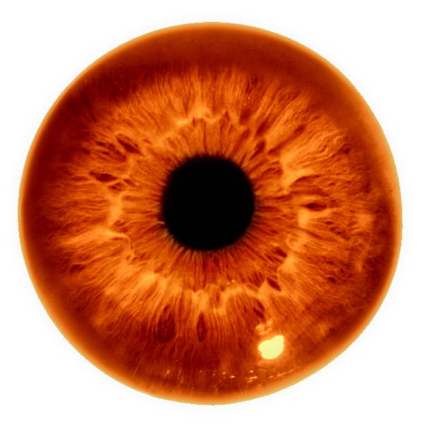 Гадание на картах Таро online в Ташкенте